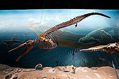 肉鸽策略《背包英雄》5月正式发售 体验版获特别好评